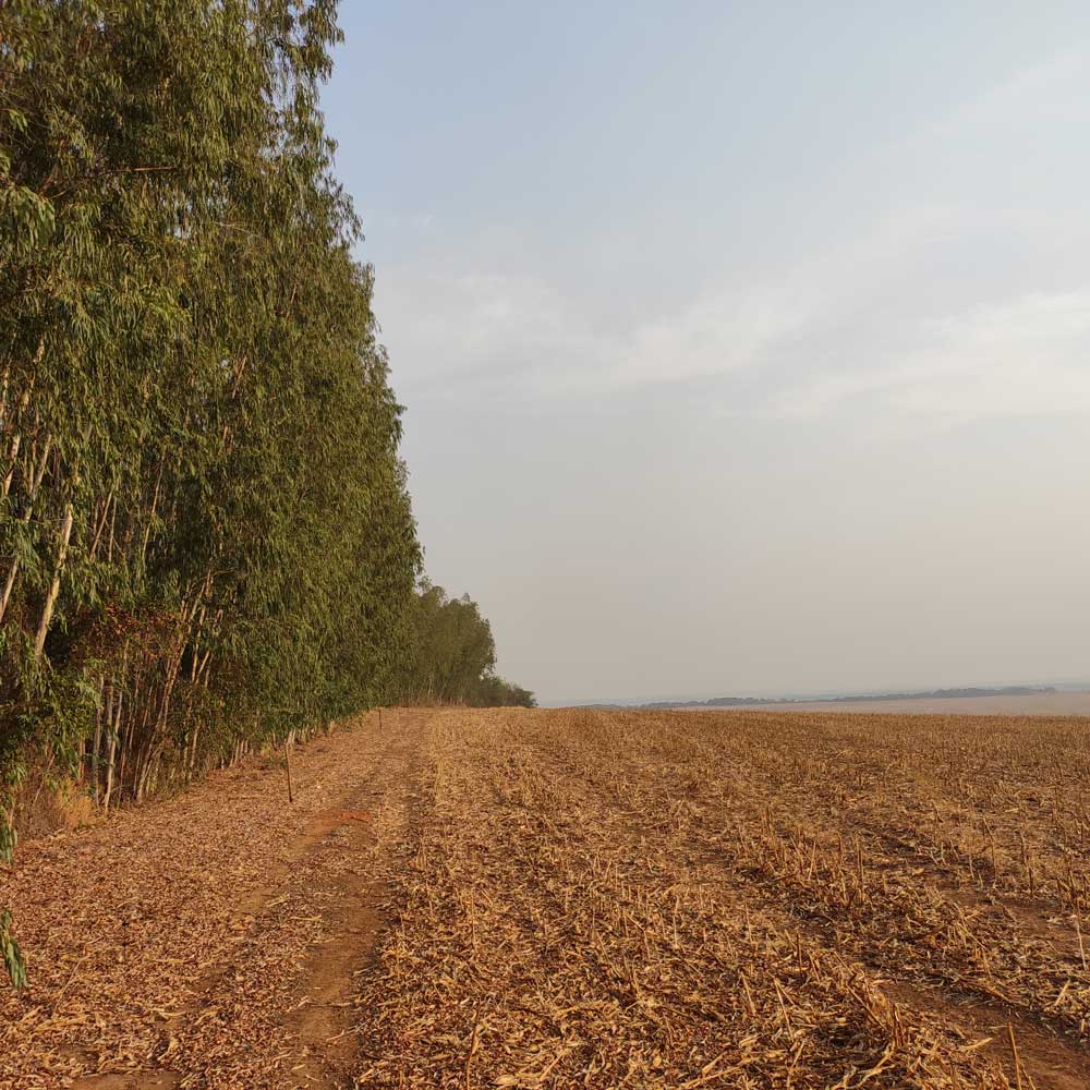 Celito Breda Stories from the field