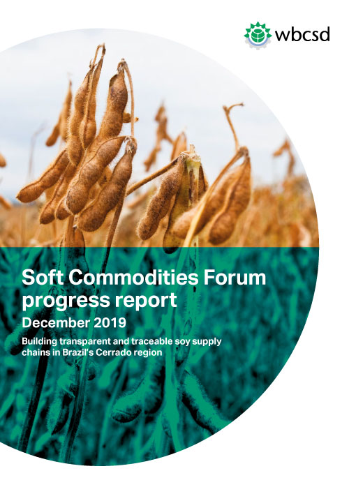 SCF - Report December 2019
