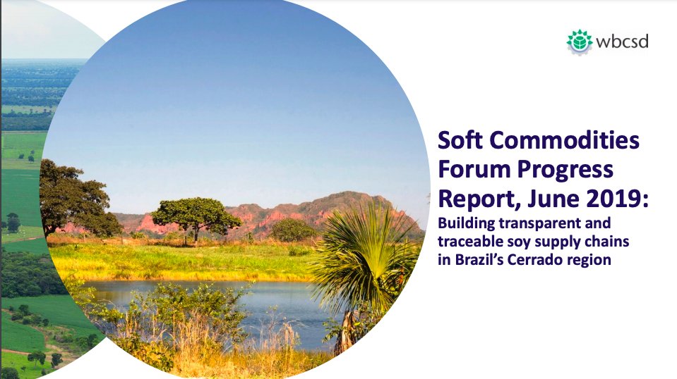 SCF - June 2019 Report Cargill