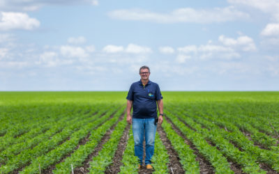 Maranhão: soja sustentável para frear desmatamento