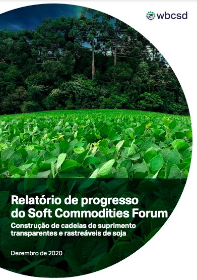 SCF - Report December 2020