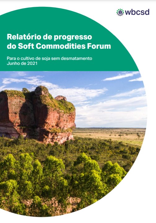 SCF - Report December 2020