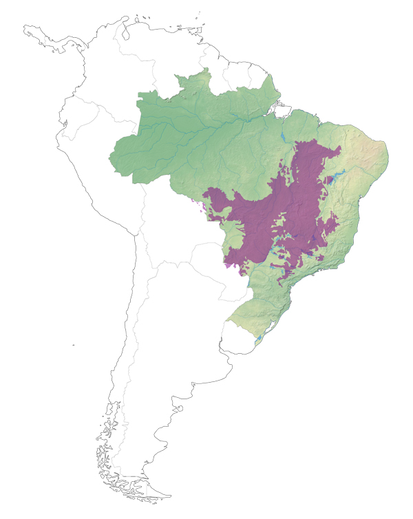 map cerrado