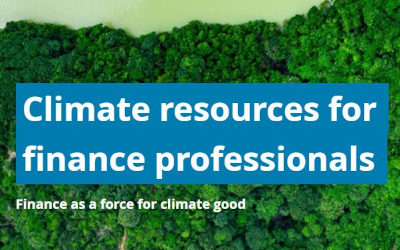 What does climate change mean for business? Understanding the role of finance professionals