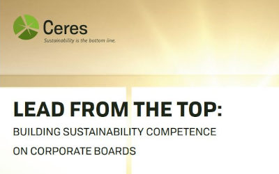 Lead from the Top: Building Sustainability Competence On Corporate Boards