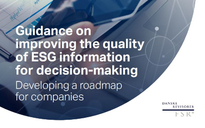 Guidance on improving the quality of ESG information for decision-making