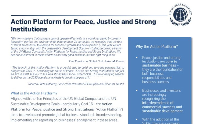 Action Platform for Peace, Justice and Strong Institutions