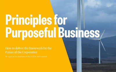 Principles of Purposeful Business